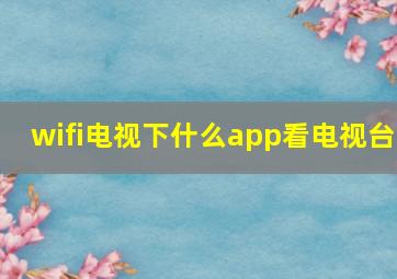 wifi电视下什么app看电视台