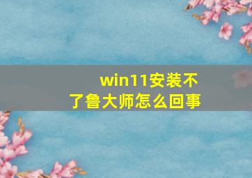 win11安装不了鲁大师怎么回事