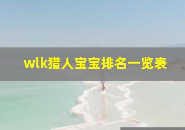 wlk猎人宝宝排名一览表