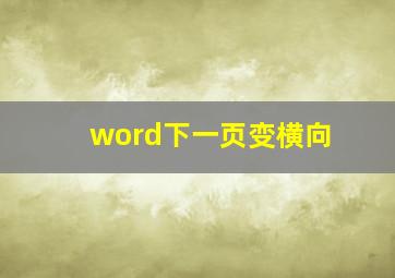 word下一页变横向