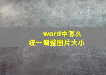 word中怎么统一调整图片大小