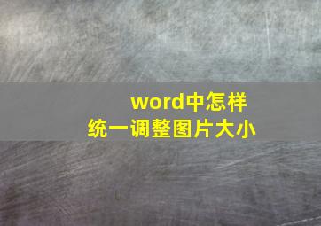 word中怎样统一调整图片大小