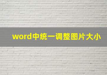 word中统一调整图片大小