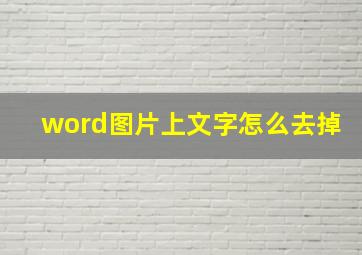 word图片上文字怎么去掉