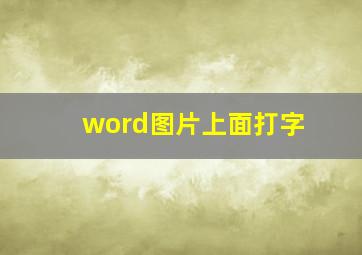 word图片上面打字