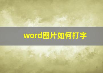 word图片如何打字