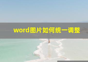 word图片如何统一调整