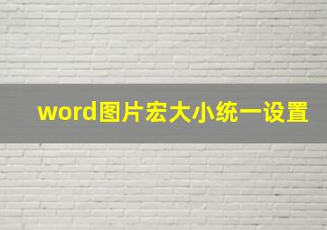 word图片宏大小统一设置