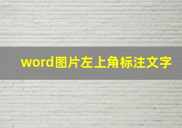 word图片左上角标注文字