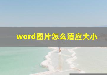 word图片怎么适应大小