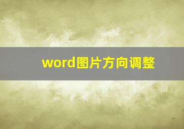 word图片方向调整