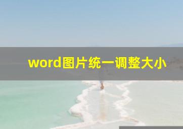 word图片统一调整大小