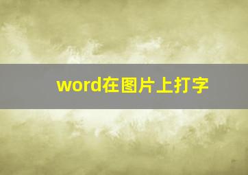 word在图片上打字