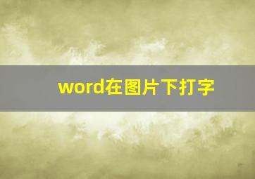 word在图片下打字