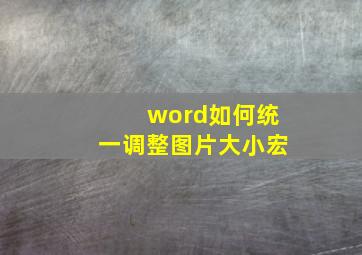 word如何统一调整图片大小宏