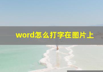 word怎么打字在图片上