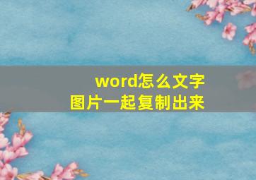 word怎么文字图片一起复制出来