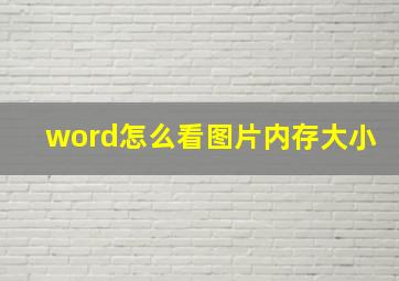 word怎么看图片内存大小