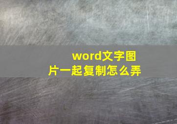 word文字图片一起复制怎么弄