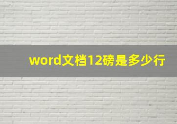 word文档12磅是多少行