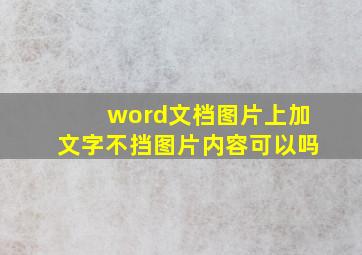 word文档图片上加文字不挡图片内容可以吗