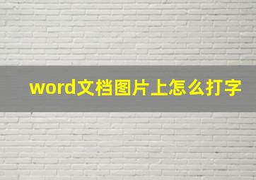 word文档图片上怎么打字