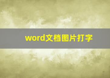 word文档图片打字