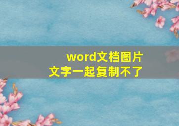 word文档图片文字一起复制不了