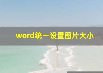 word统一设置图片大小