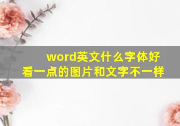 word英文什么字体好看一点的图片和文字不一样