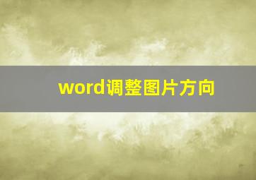 word调整图片方向