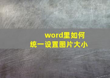 word里如何统一设置图片大小