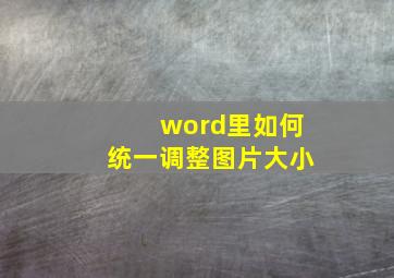 word里如何统一调整图片大小