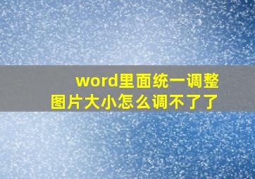 word里面统一调整图片大小怎么调不了了