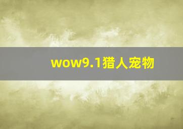 wow9.1猎人宠物