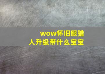 wow怀旧服猎人升级带什么宝宝