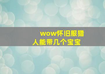 wow怀旧服猎人能带几个宝宝