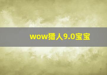 wow猎人9.0宝宝