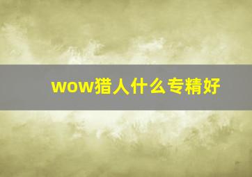 wow猎人什么专精好