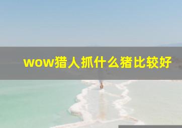 wow猎人抓什么猪比较好