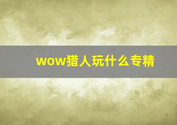 wow猎人玩什么专精