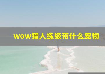 wow猎人练级带什么宠物