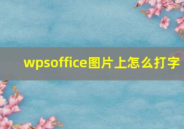 wpsoffice图片上怎么打字