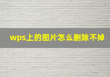 wps上的图片怎么删除不掉