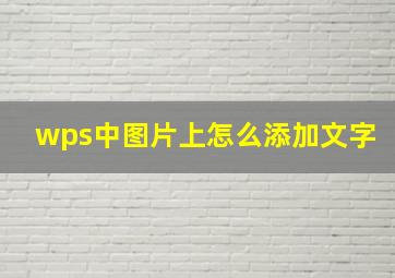 wps中图片上怎么添加文字