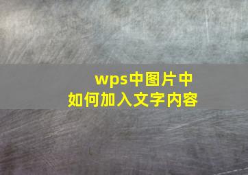 wps中图片中如何加入文字内容