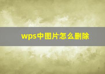 wps中图片怎么删除