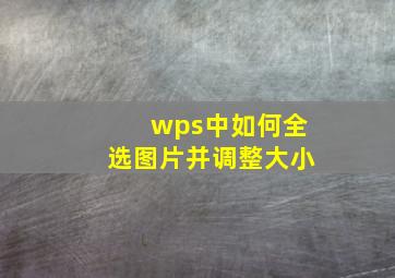 wps中如何全选图片并调整大小