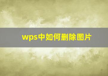 wps中如何删除图片