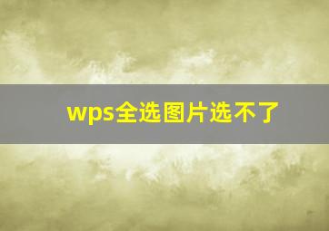 wps全选图片选不了